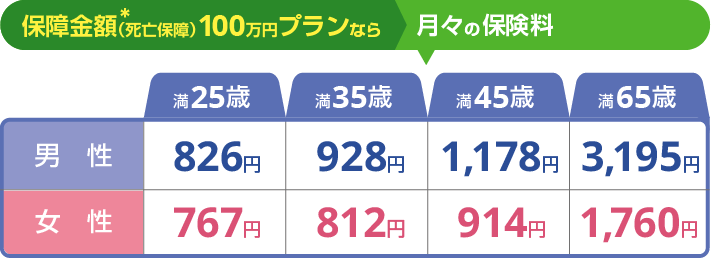 保障金額（死亡保障）100万円プランならこの保険料！