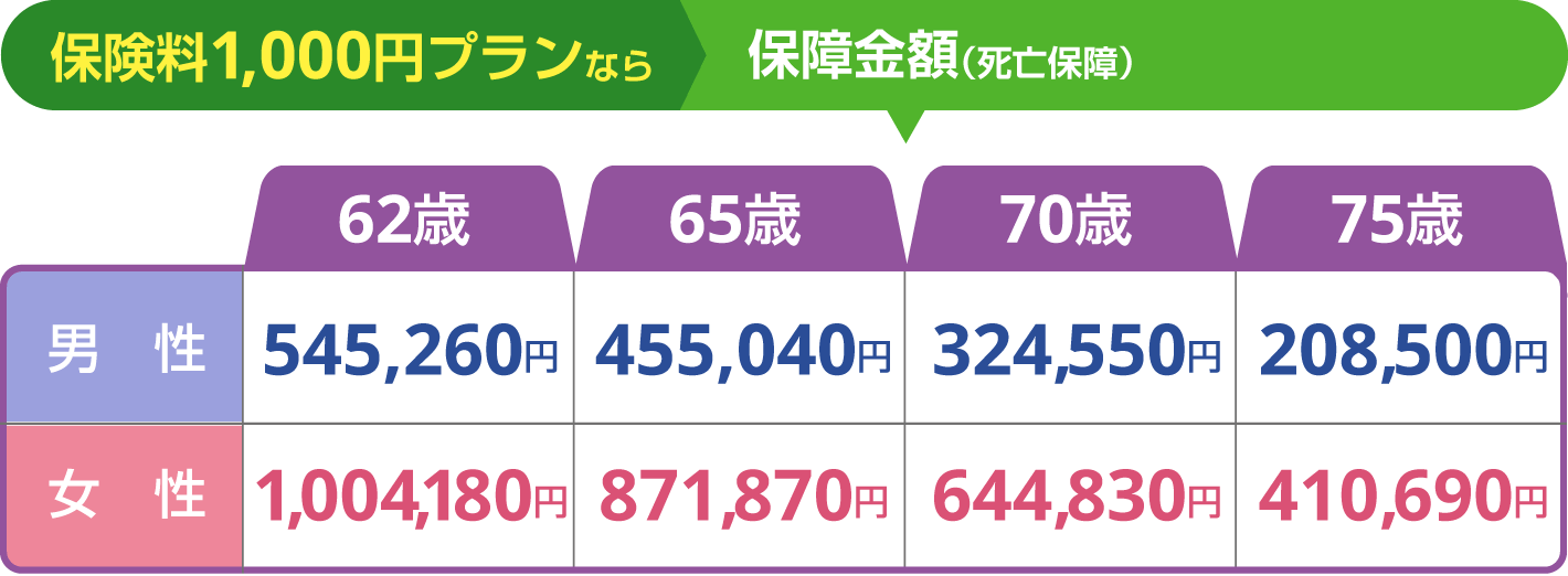 保険料1,000円プランならこの保障額！