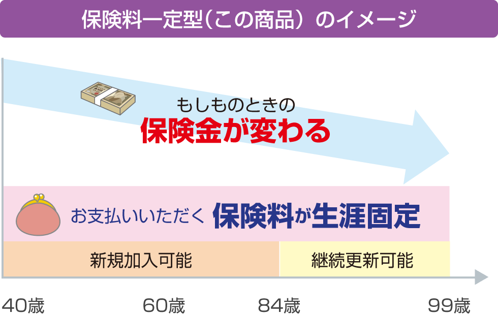 保険料一定型（この商品）のイメージ